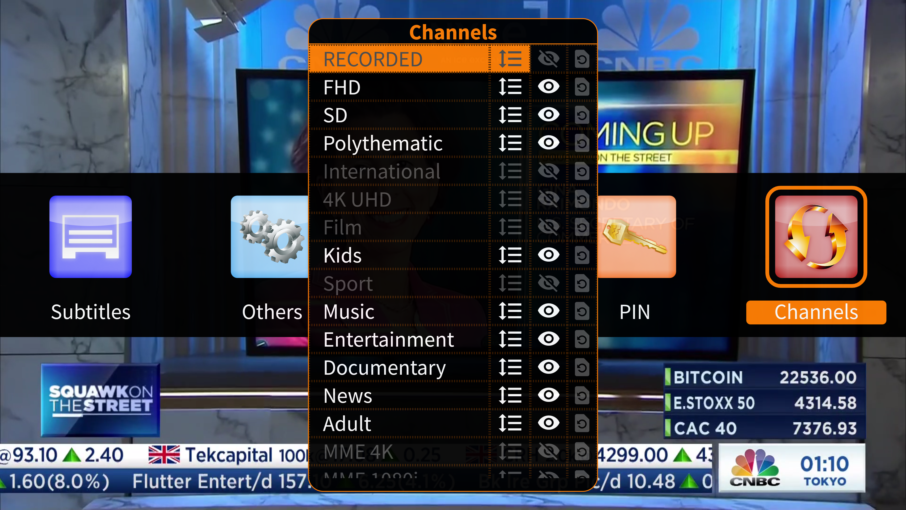 VideoHub TV interface preview